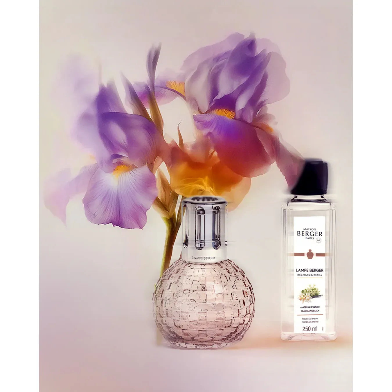 Coffret lampe Berger Disco Rose - Maison Berger Paris - Coffret Lampe Berger - - La Guilde Culinaire