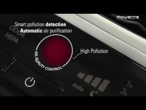 Filtre charbon (Intense Pure Air XL) - Rowenta - Rowenta - Filtres pour purificateurs d'air - - La Guilde Culinaire