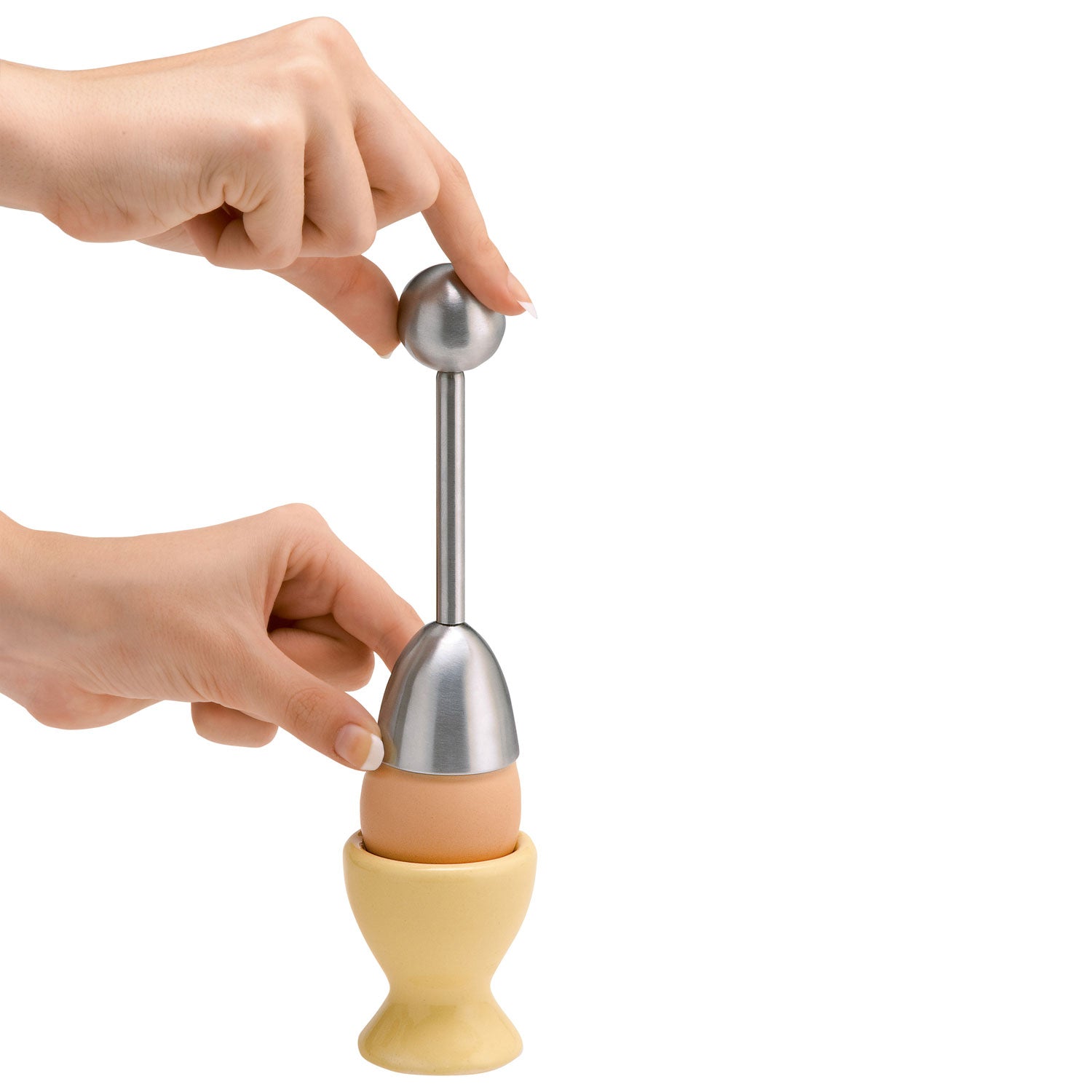Toqueur à œuf de caille en acier inoxydable    - La Guilde Culinaire - Toqueur à œuf -  - La Guilde Culinaire