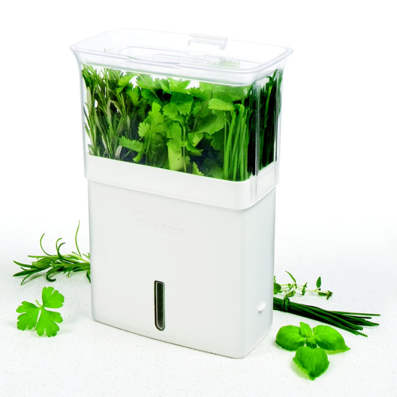 Grande jardinière pour herbes coupées    - Cole & Mason - Jardinière -  - La Guilde Culinaire