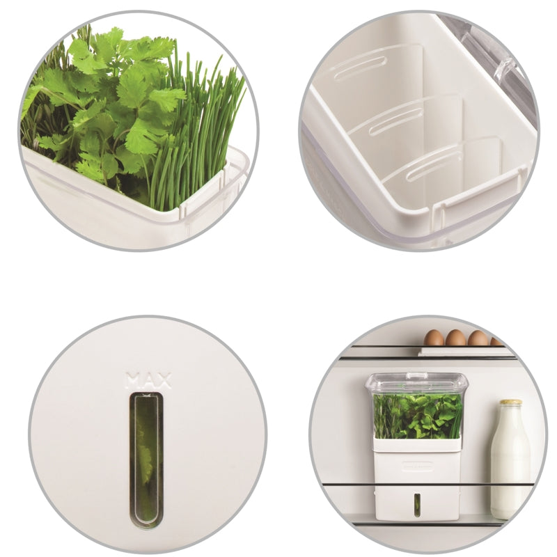 Grande jardinière pour herbes coupées    - Cole & Mason - Jardinière -  - La Guilde Culinaire