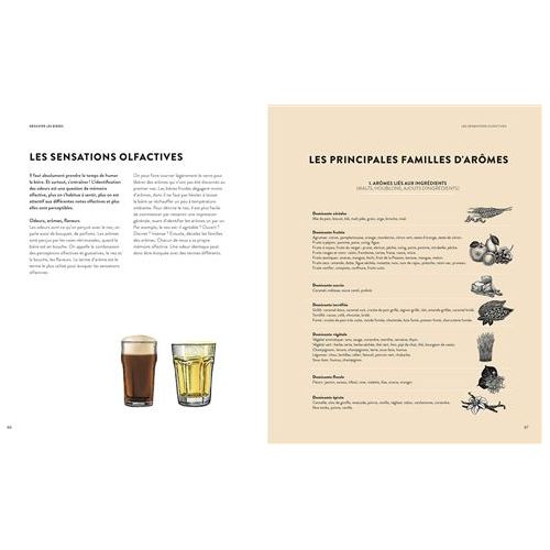 La bière en 100 styles !    - Hachette Ed. - Livre d'alcool et boisson -  - La Guilde Culinaire