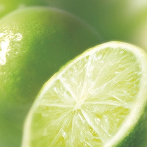 Purée de Citron Vert Surgelé 1kg    - Ravifruit - Purée de fruit -  - La Guilde Culinaire