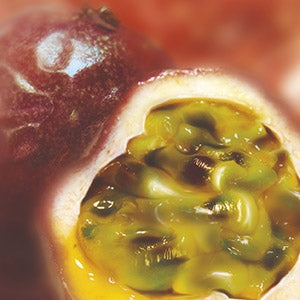 Purée de Fruit de la passion surgelée 1kg    - Ravifruit - Purée de fruit -  - La Guilde Culinaire