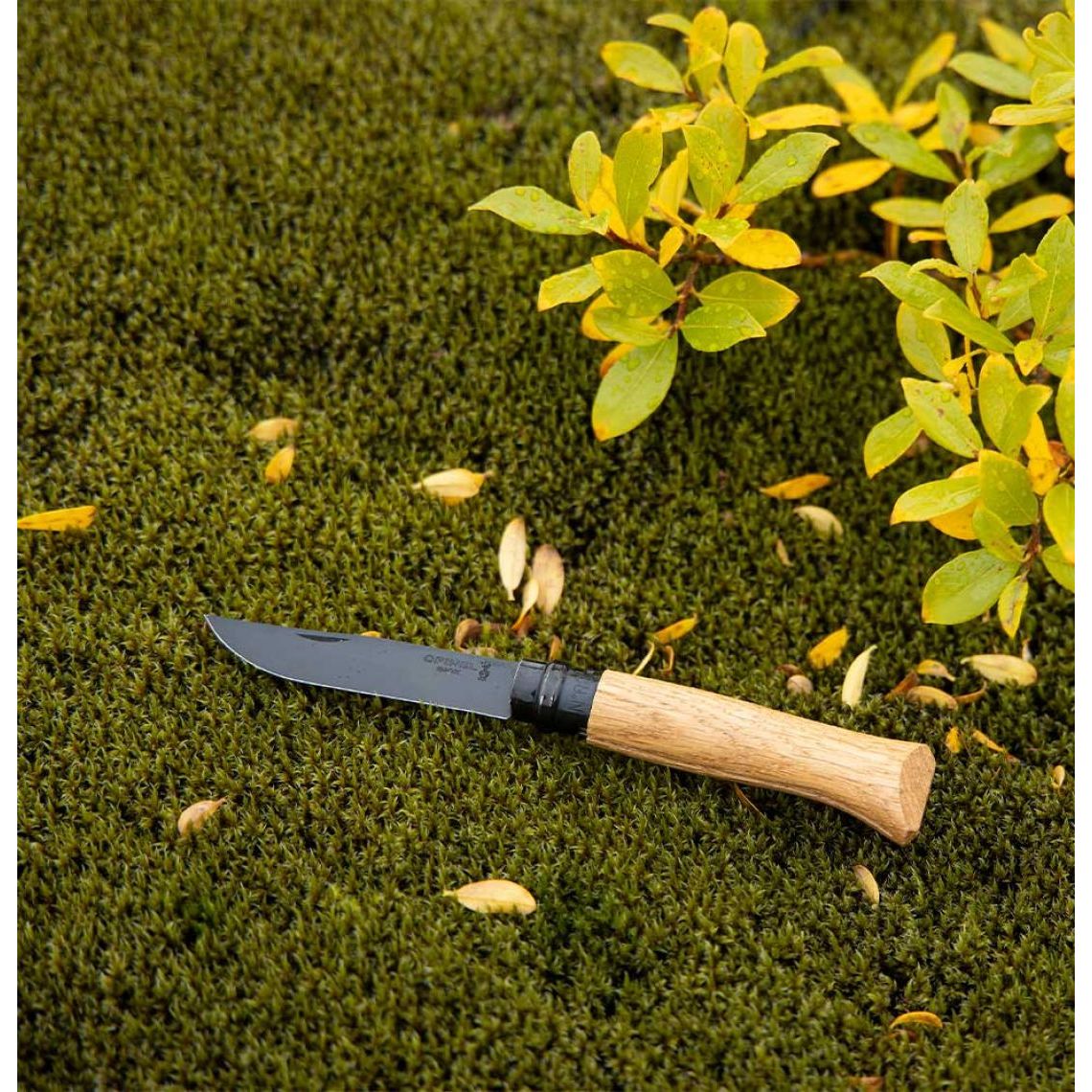 Opinel - N°08  Couteau de poche Édition Chêne Black    - Opinel - Couteau de poche -  - La Guilde Culinaire