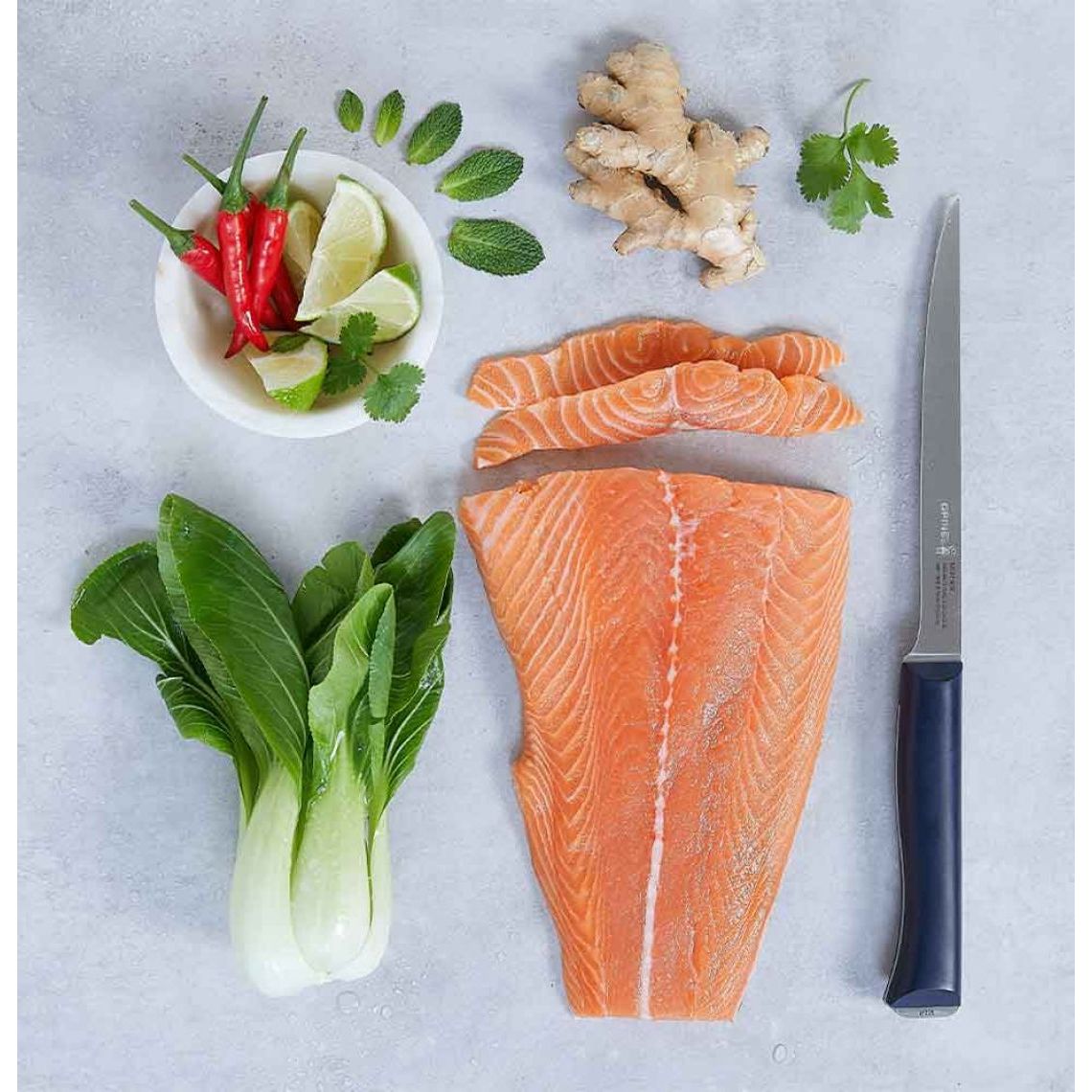 Opinel - N°221 Couteau Effilé Intempora - Opinel - Couteau à filet - - La Guilde Culinaire