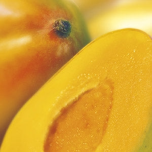 Purée de Mangue surgelée 1kg    - Ravifruit - Purée de fruit -  - La Guilde Culinaire