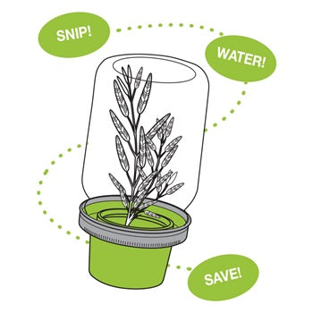 Couvercle Herb Saver pour pot Mason !    - Jarware - Pot masson -  - La Guilde Culinaire